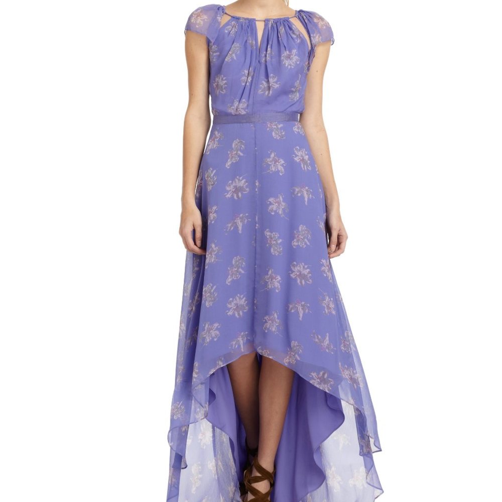 Elizabeth & James Chiffon Maxi Dress